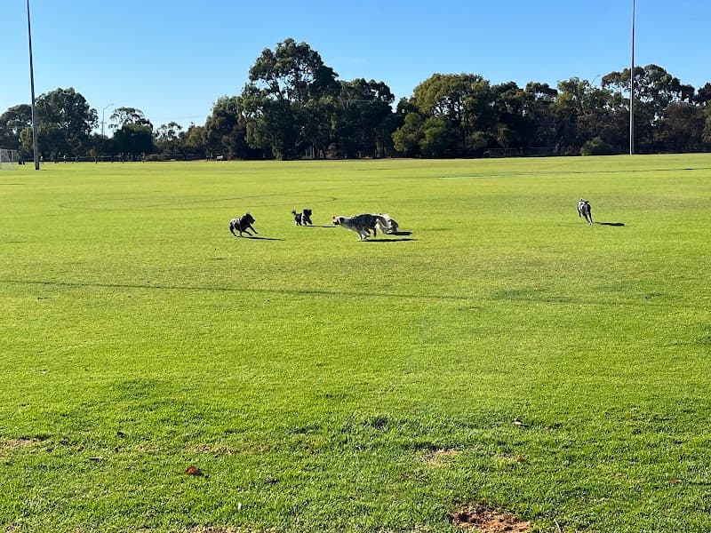 Photo of Peelwood Reserve pickleball courts