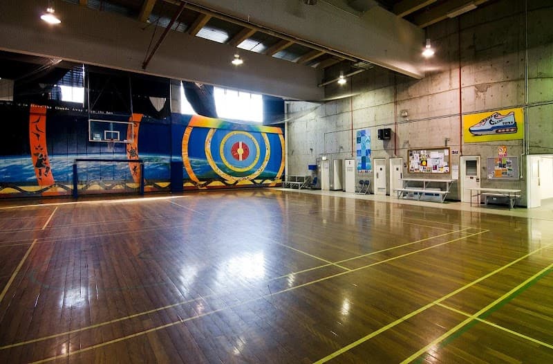 Photo of Peter Forsyth Auditorium pickleball courts