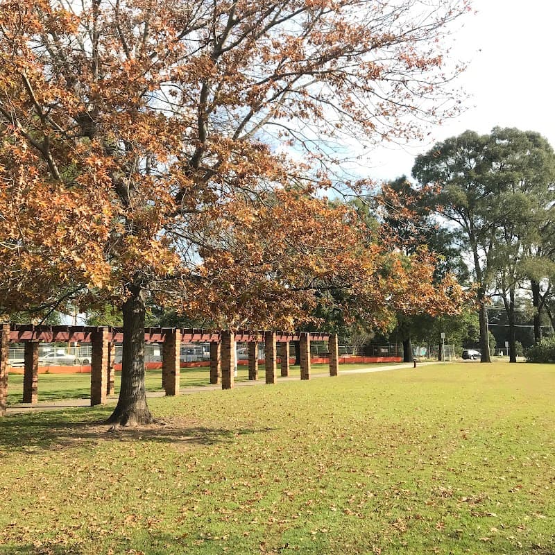 Photo of Woodriff Gardens padel courts